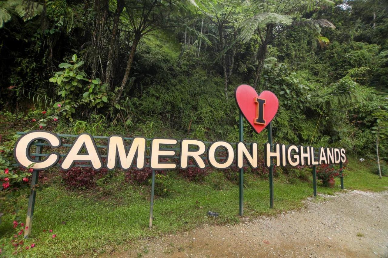 ברינצ'אנג Cameron Kea Farm Hotel מראה חיצוני תמונה